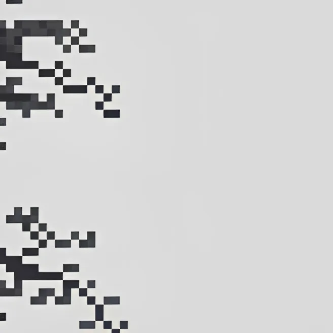 HideAndSeekPro