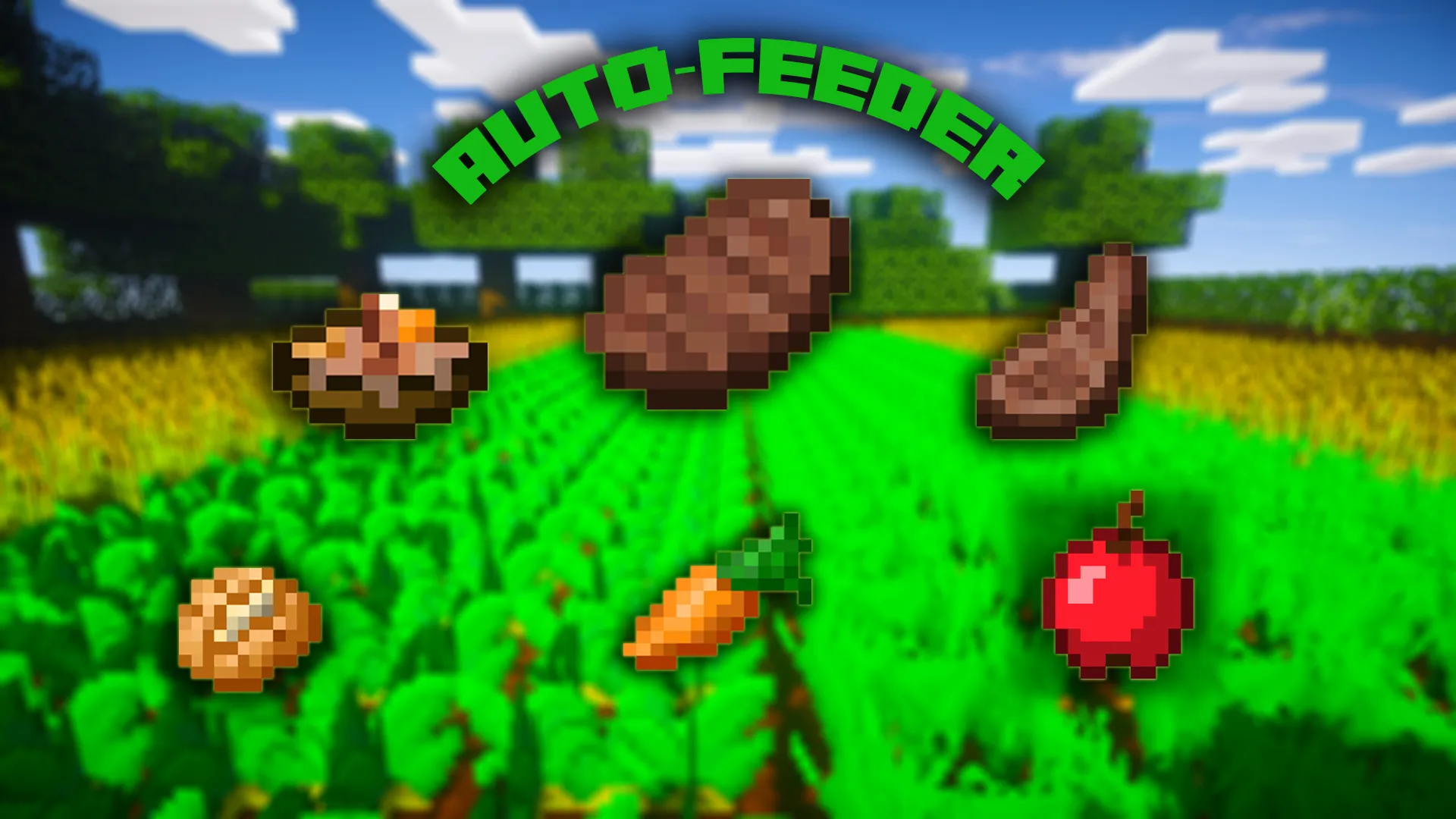 AutoFeeder