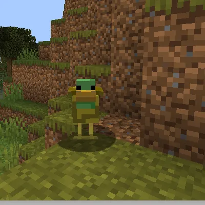 Totally Quackers!