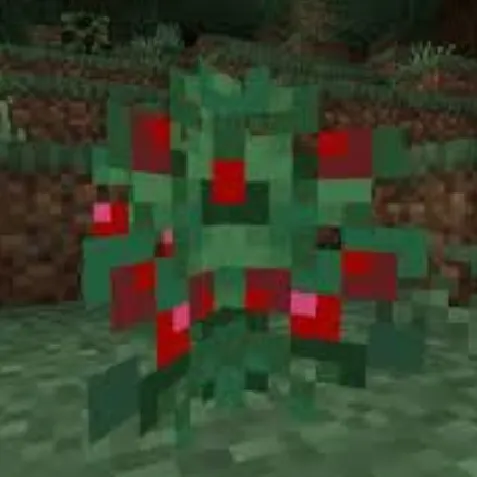 Other Berries