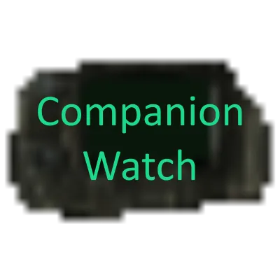Watch Companion