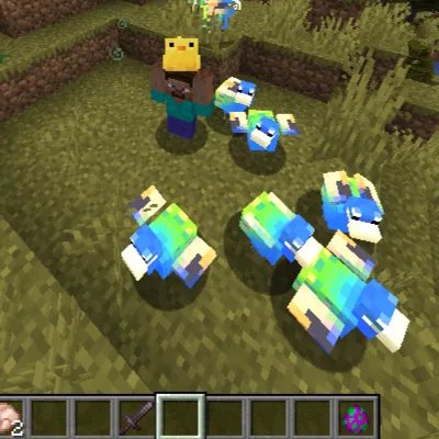 More Chicken´s Revolution