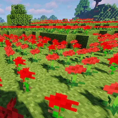 Roses and Poppies!