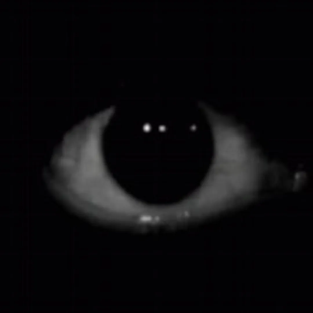 Horror Modpack - Modpack  horror