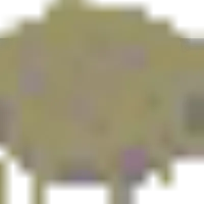 Cheese Cake/Chezzy cake