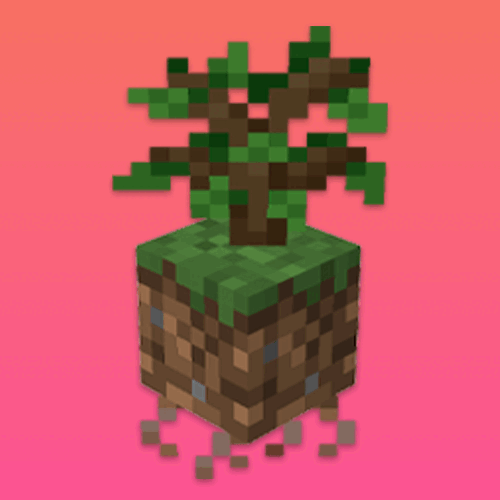 Fresh Flowers and Plants