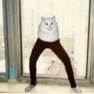 Long Cat Totem