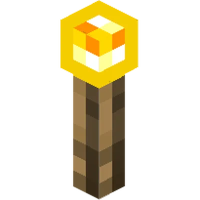 Torches Renewed