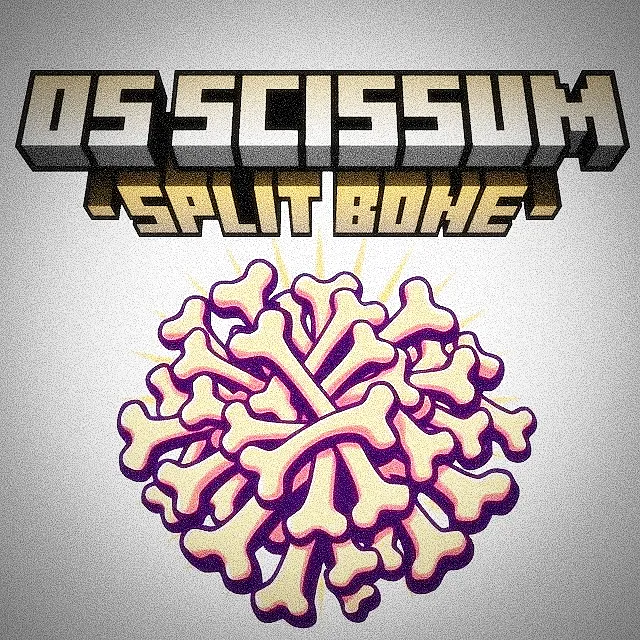 Os Scissum - Split Bone