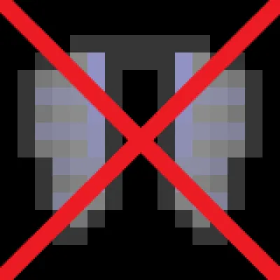 No Elytra Flight
