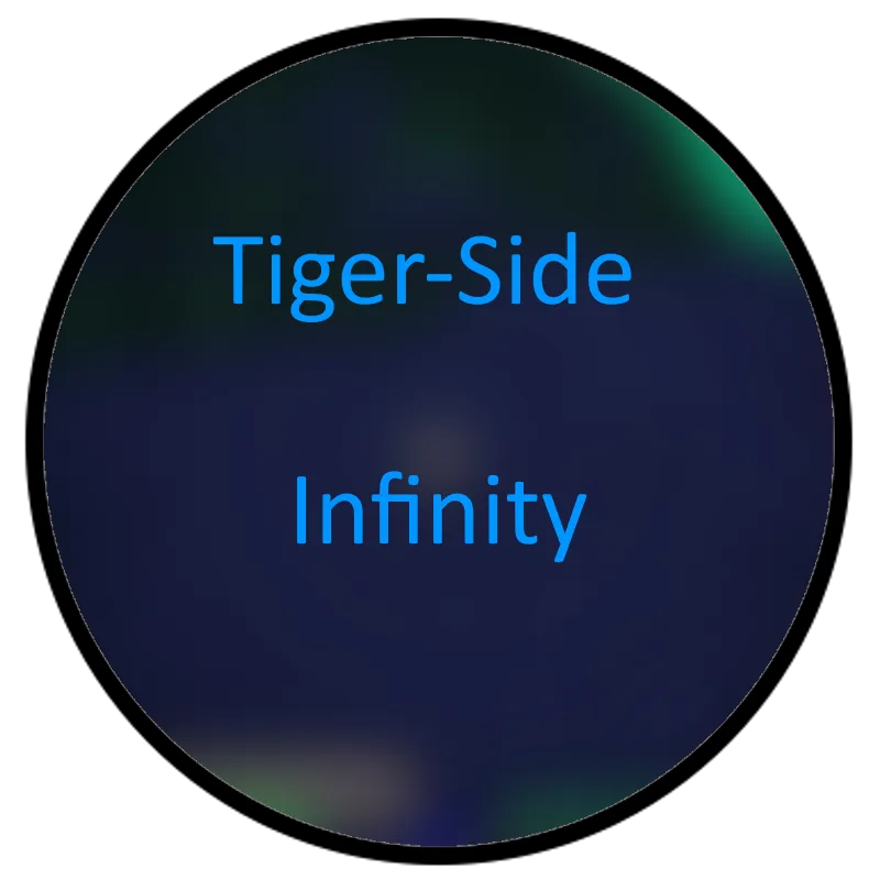 Tiger-Side Infinity