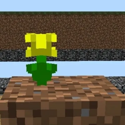 Single Player SkyBlock for Low versions (with possibility to host LAN)