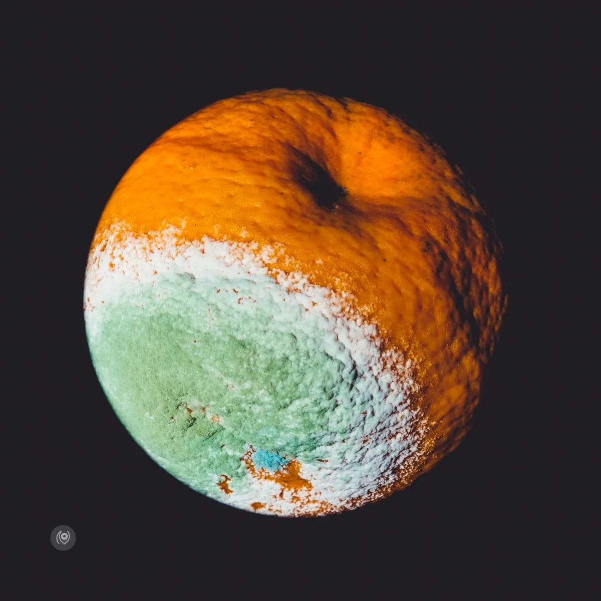 Envirorot