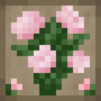 More Ornamental Plants