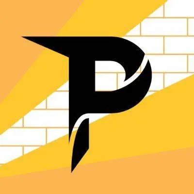 Paladium V10 (with endium mixed )