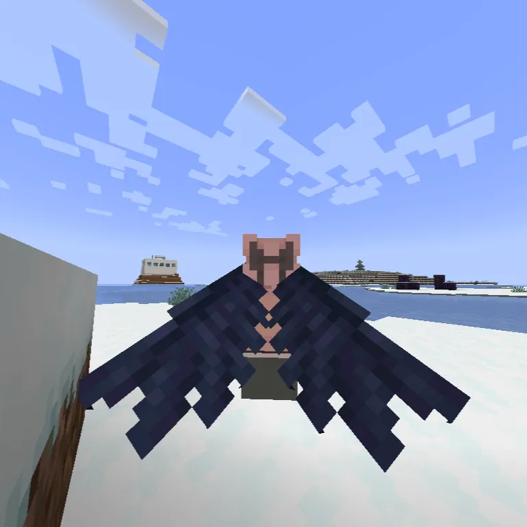 BB's Wings Elytra Crow
