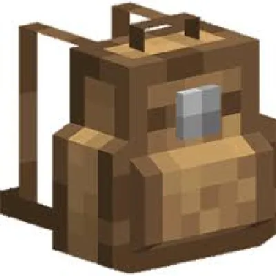 Beyond The End - Backpacked Skins Unlock Addon