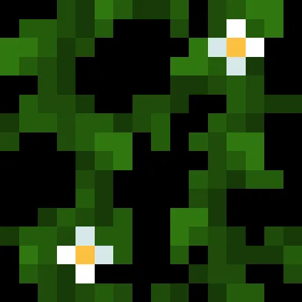 Flowers Vine