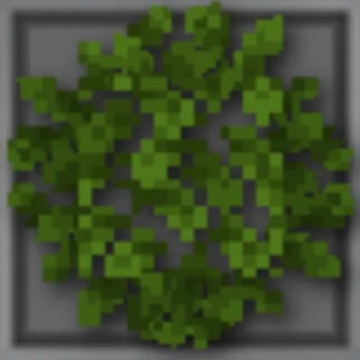 Bushy Leaves Pack