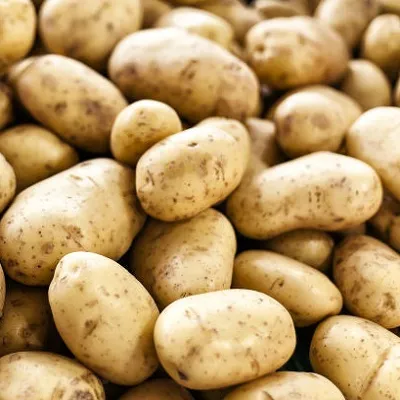 Potatous