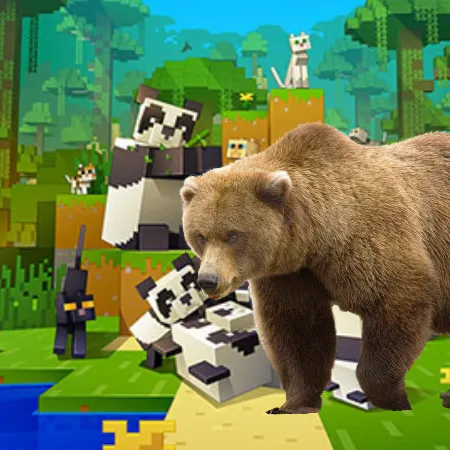 Bears Update