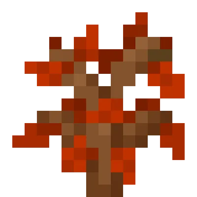 Maple Trees And Biome