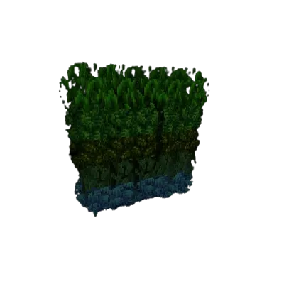 Fossils & Archaeology Bushy leaves