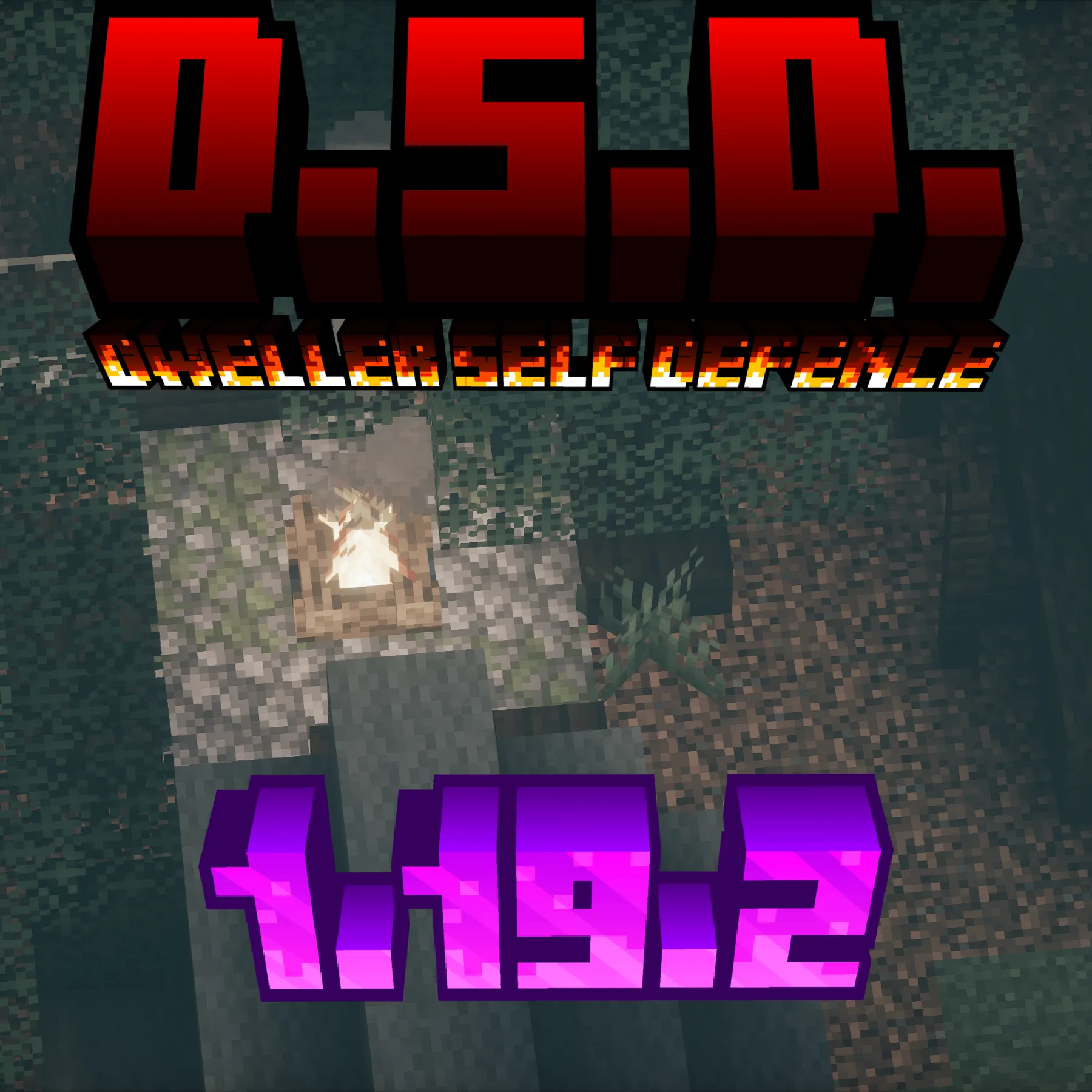 D.S.D. The one who watches -edition-