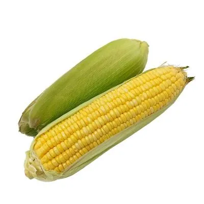 Corn Sword