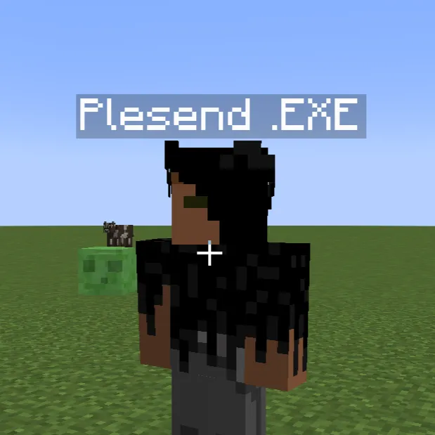 Plesend.exe V1