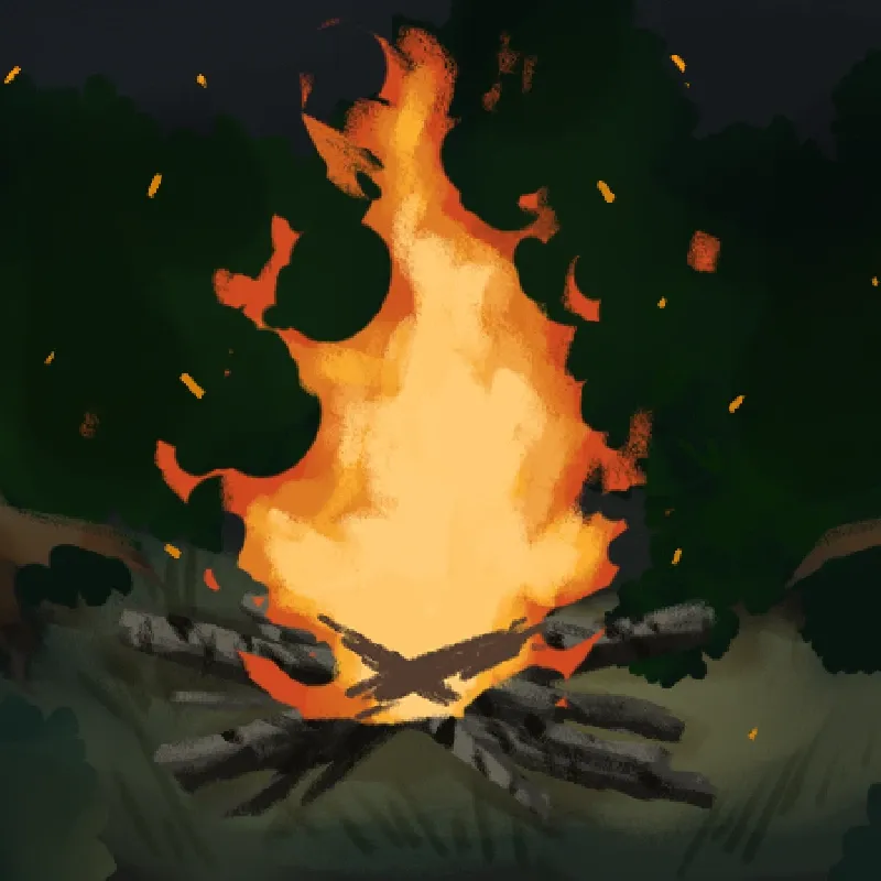 Beautiful Campfires