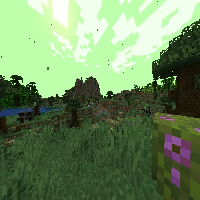 Beginning's Dawn