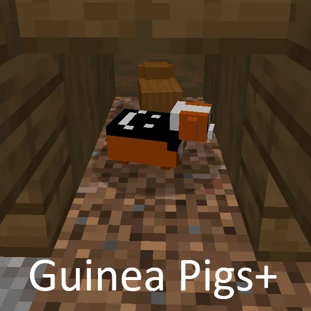 Guinea Pigs Extras