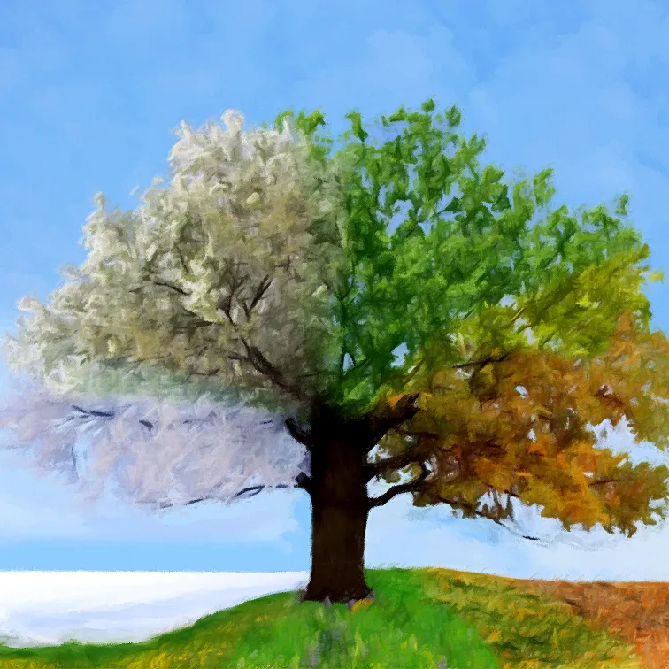 Four Seasons