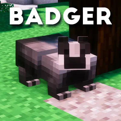 Texungo (Badger Meles)