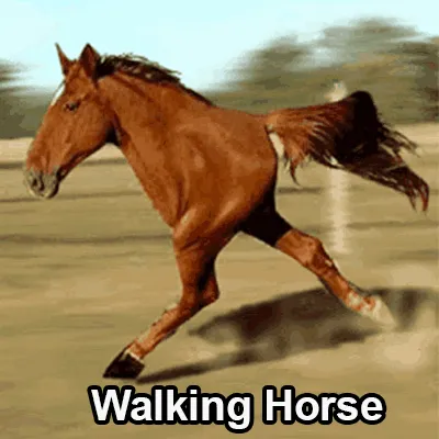 Walking Horses