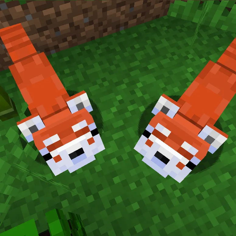 RedPandas