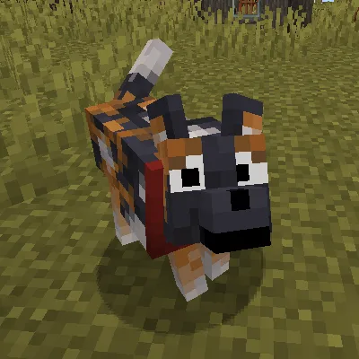Fresh Animations Patch - Boy Why You So Ears