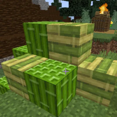 The Bamboo Pack