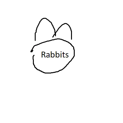 Extra Rabbits
