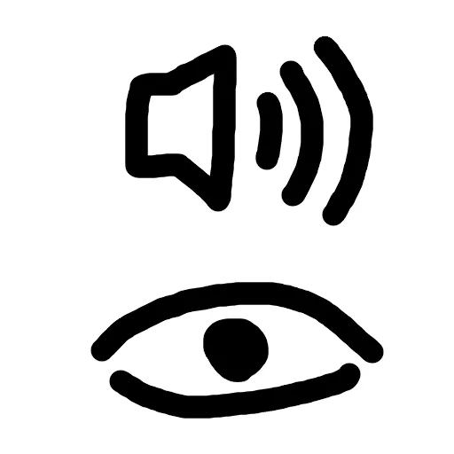 The Blind Experience