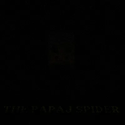 The Papaj Spider