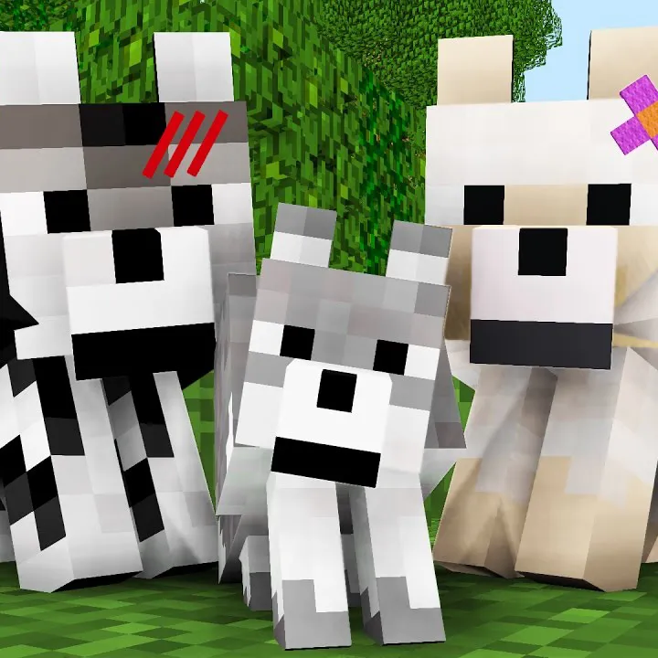 Wolves Pack