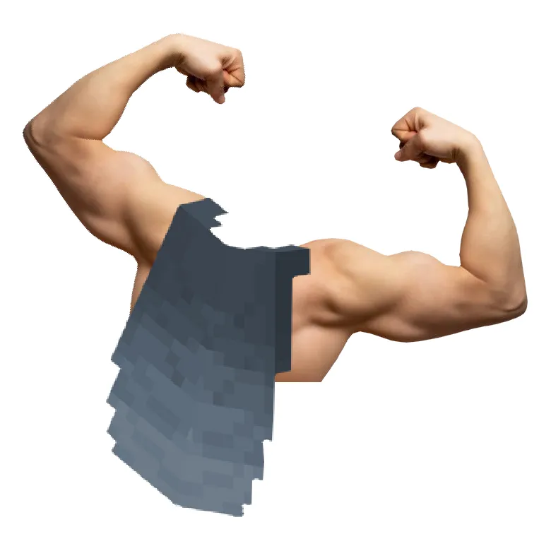 Roxxy's Unbreakable Elytra