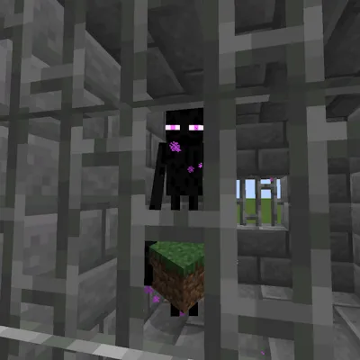 Ender's Gamerules