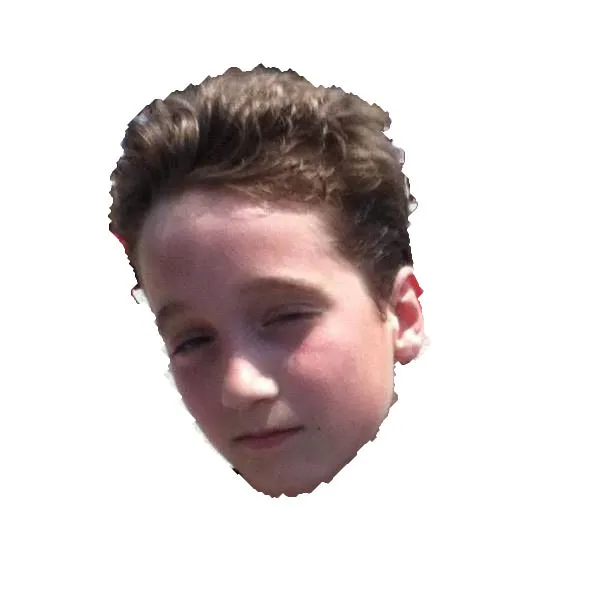 GTL Cobblemon