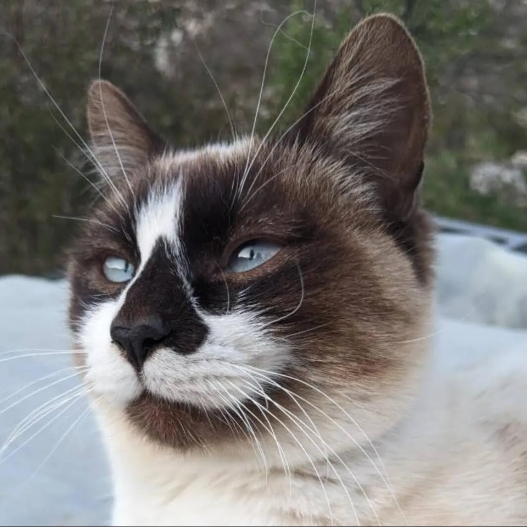 Benni's Better Textures