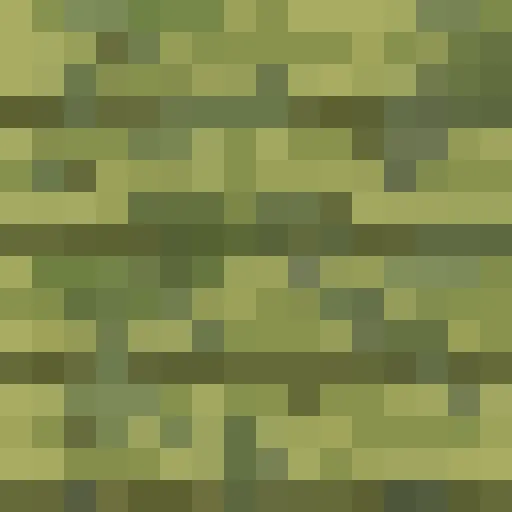Mossy Planks