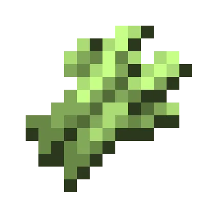 Bottom Sugar Cane Harvest