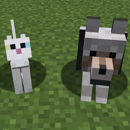 Pet ownership